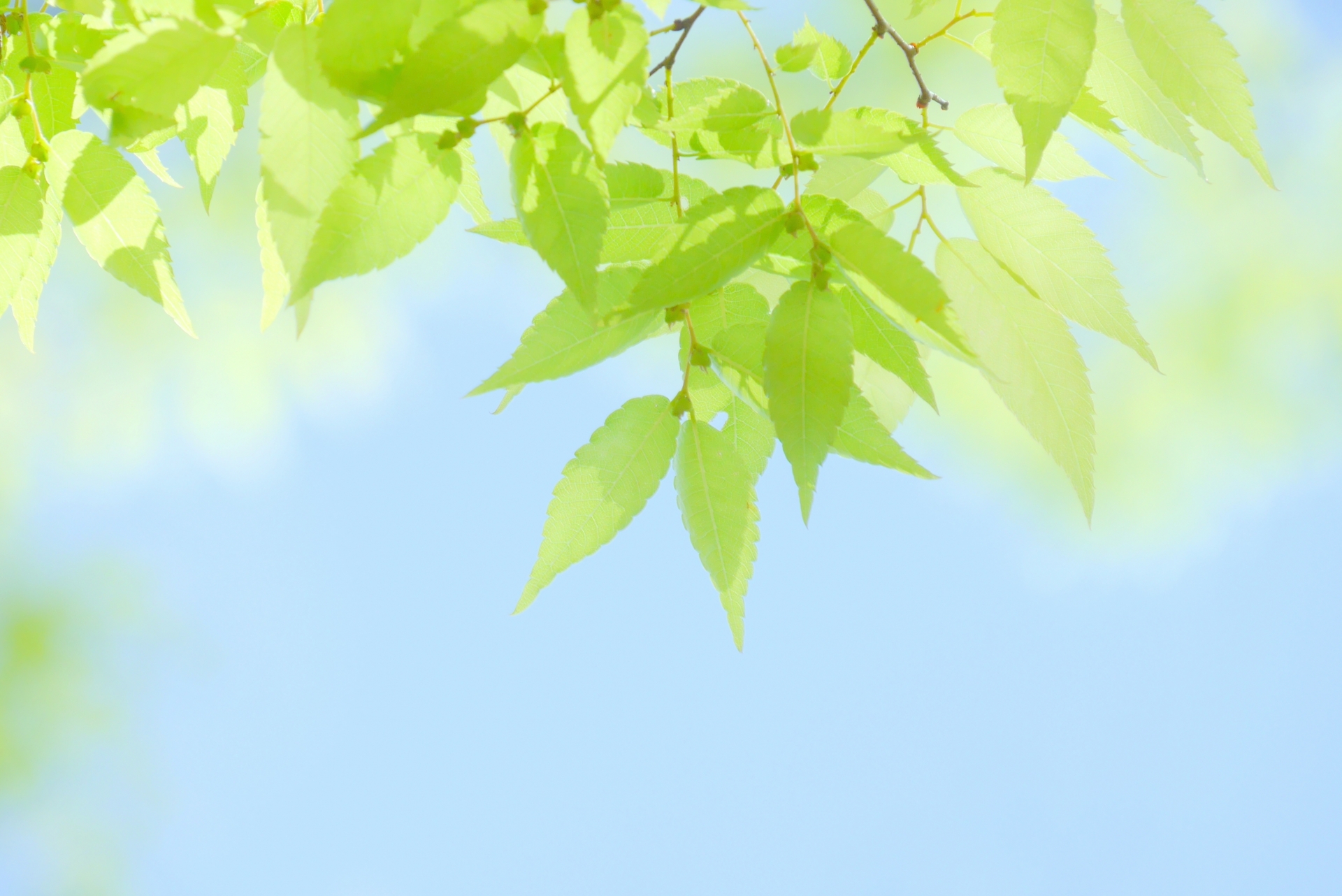 春光に包まれ、心新たに歩み出す3月